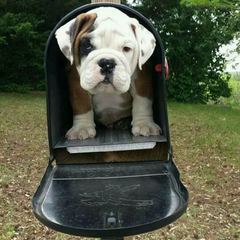 Meet your Posher, Faith